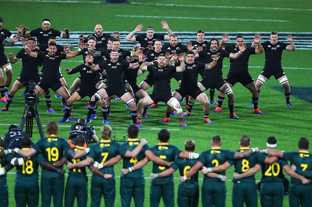 Springboks-v-All-Blacks